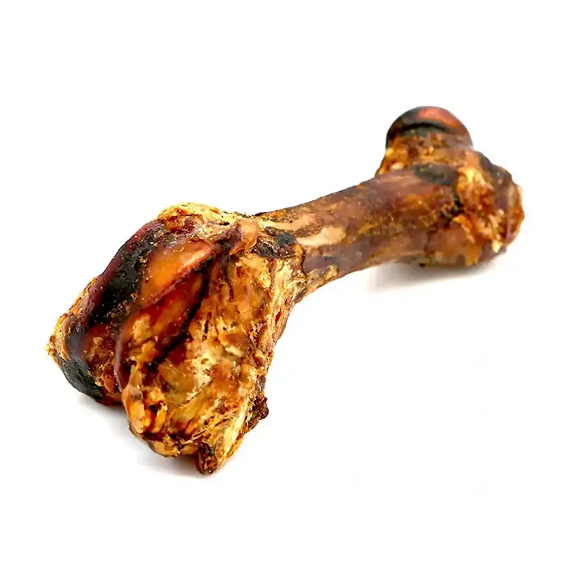 HUESO-FEMUR-DOGSY deshidratado.webp