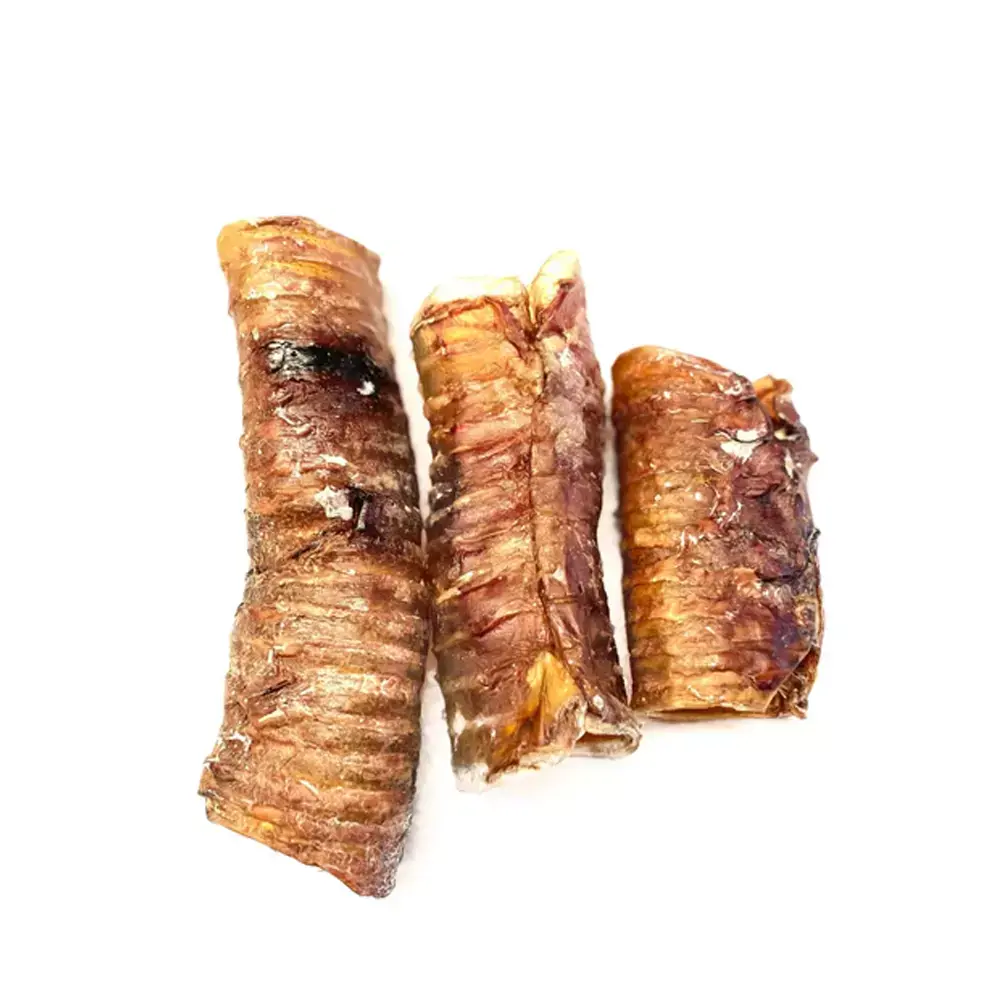 DOGSY TRAQUEAS DE CERDO.webp